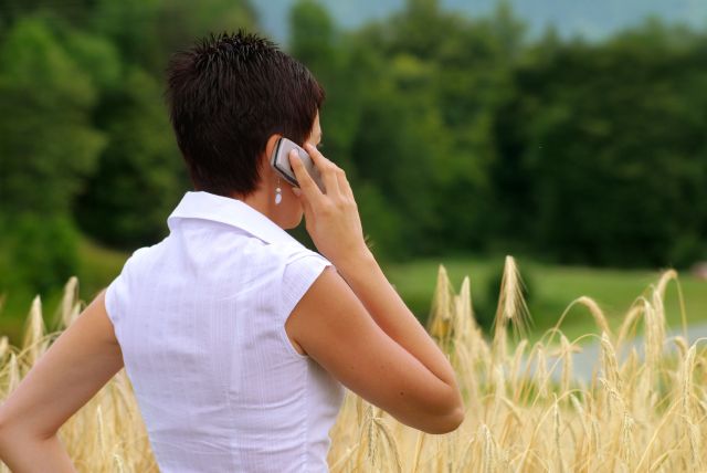 Landsbygdsföretag, kvinna, mobiltelefon, vetefält, gröda