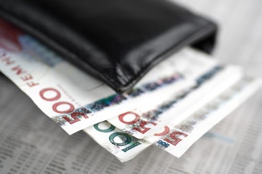 En plånbok med pengar