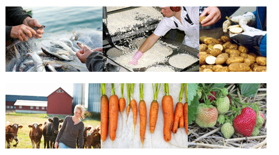 Ett kollage som visar sex foton av hantering av fisk till sjöss, hantering av ostmassa på ett mejeri, kontroll av potatis, en bonde med sina kor, morötter i olika storlek och form samt jordgubbar i olika utvecklingsstadium.