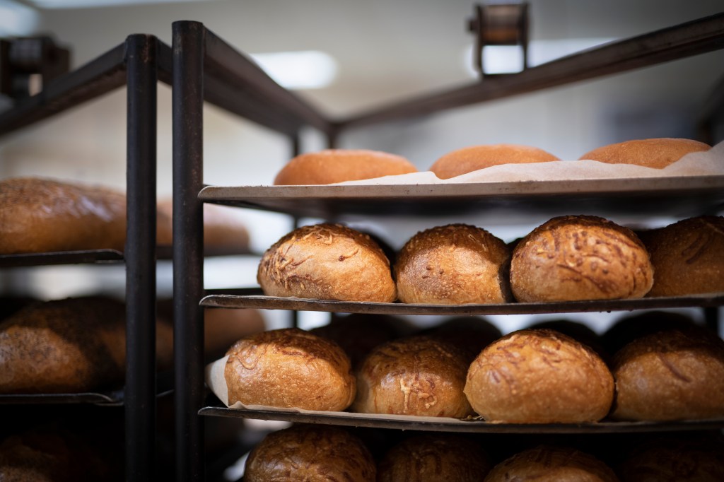 Nybakade bröd på plåtar